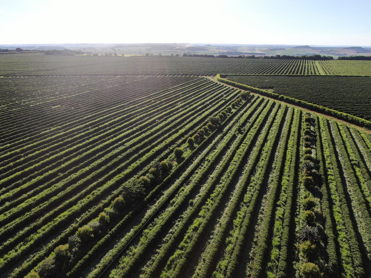 Agricultura Regenerativa